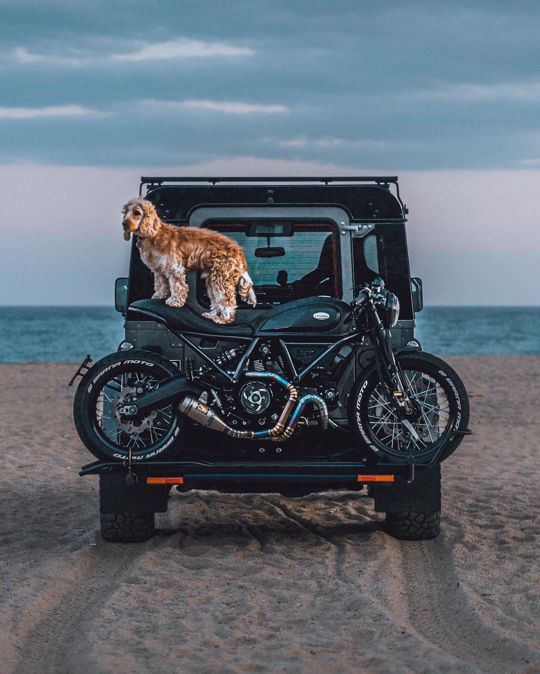 Dog on a Ducati Scrambler Motorcycle Hitch Carrier on a Land Rover Defender