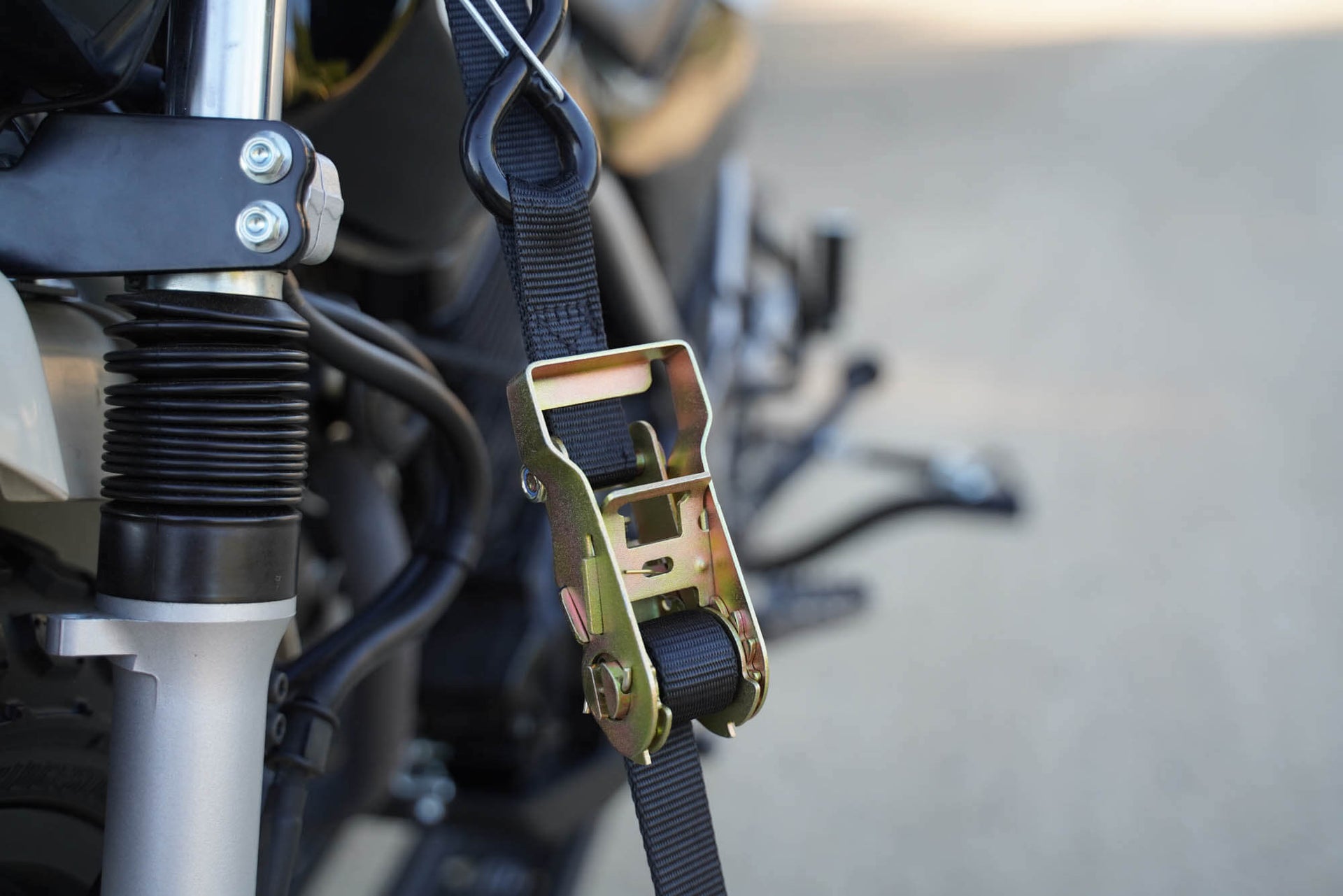 SafeLoop Ratcheting Tie Downs MotoTote