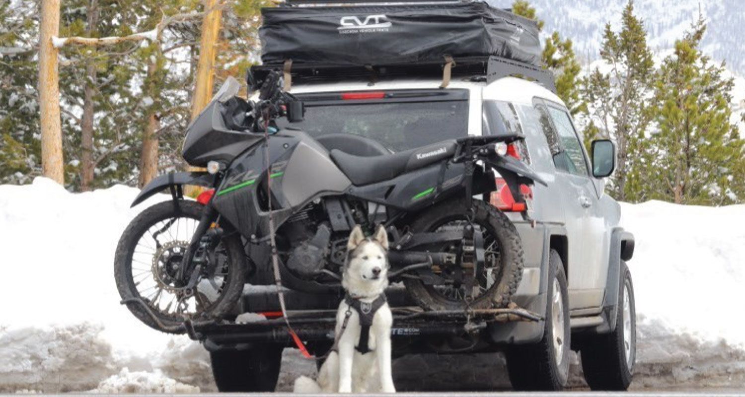 Suzuki KLR Motorcycle Hitch Carrier -  The Bike Dog
